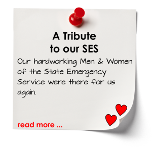 tribute to our SES